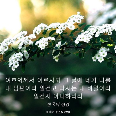 Picture 03 - 호세아 2:16 KOR - 여호와께서 이르시되 그 날에 네가 - Bible Verse Picture