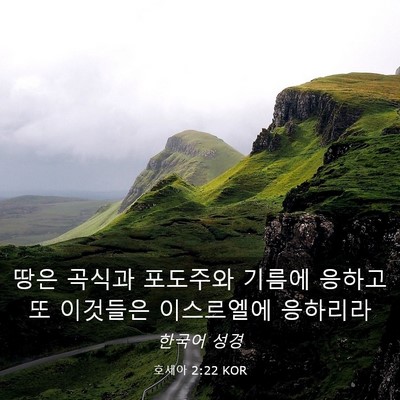Picture 03 - 호세아 2:22 KOR - 땅은 곡식과 포도주와 기름에 응하고 - Bible Verse Picture