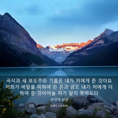 Picture 03 - 호세아 2:8 KOR - 곡식과 새 포도주와 기름은 내가 - Bible Verse Picture