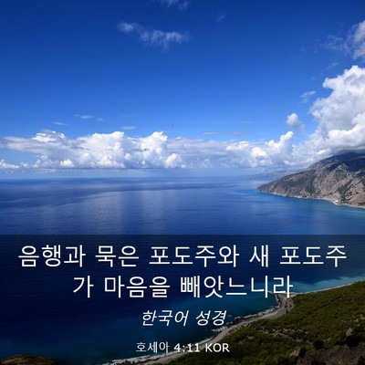 Picture 03 - 호세아 4:11 KOR - 음행과 묵은 포도주와 새 포도주가 - Bible Verse Picture