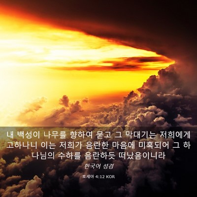 Picture 03 - 호세아 4:12 KOR - 내 백성이 나무를 향하여 묻고 그 - Bible Verse Picture