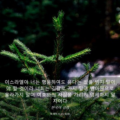 Picture 03 - 호세아 4:15 KOR - 이스라엘아 너는 행음하여도 유다는 - Bible Verse Picture