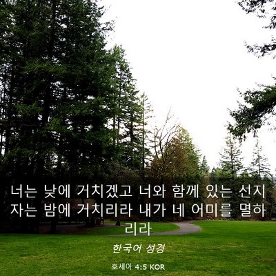Picture 03 - 호세아 4:5 KOR - 너는 낮에 거치겠고 너와 함께 있는 - Bible Verse Picture