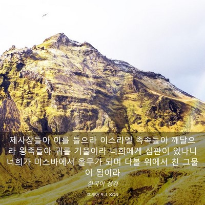 Picture 03 - 호세아 5:1 KOR - 제사장들아 이를 들으라 이스라엘 - Bible Verse Picture