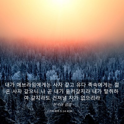 Picture 03 - 호세아 5:14 KOR - 내가 에브라임에게는 사자 같고 유다 - Bible Verse Picture