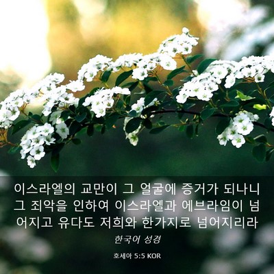 Picture 03 - 호세아 5:5 KOR - 이스라엘의 교만이 그 얼굴에 증거가 - Bible Verse Picture