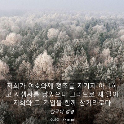 Picture 03 - 호세아 5:7 KOR - 저희가 여호와께 정조를 지키지 - Bible Verse Picture