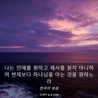 Picture 03 - 호세아 6:6 KOR - 나는 인애를 원하고 제사를 원치 - Bible Verse Picture