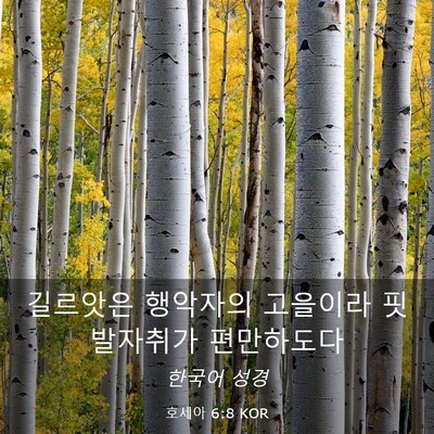 Picture 03 - 호세아 6:8 KOR - 길르앗은 행악자의 고을이라 - Bible Verse Picture