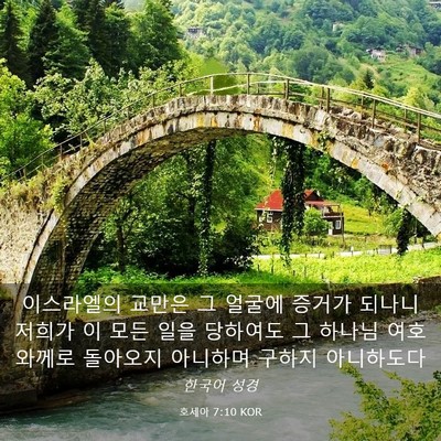 Picture 03 - 호세아 7:10 KOR - 이스라엘의 교만은 그 얼굴에 증거가 - Bible Verse Picture