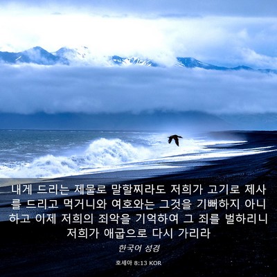 Picture 03 - 호세아 8:13 KOR - 내게 드리는 제물로 말할찌라도 - Bible Verse Picture