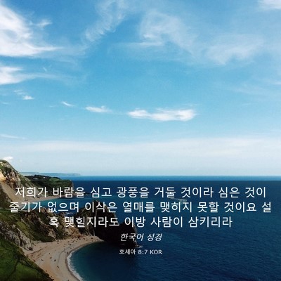 Picture 03 - 호세아 8:7 KOR - 저희가 바람을 심고 광풍을 거둘 - Bible Verse Picture