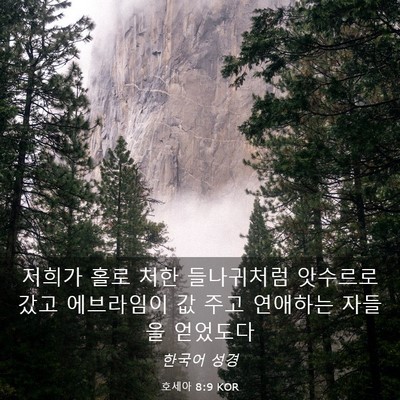 Picture 03 - 호세아 8:9 KOR - 저희가 홀로 처한 들나귀처럼 - Bible Verse Picture