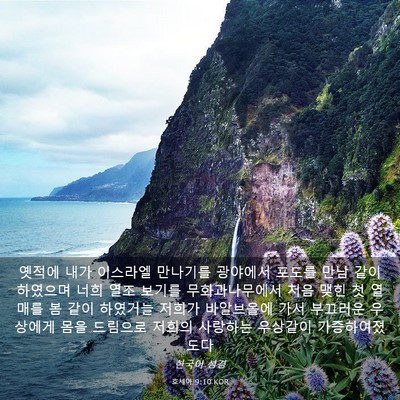 Picture 03 - 호세아 9:10 KOR - 옛적에 내가 이스라엘 만나기를 - Bible Verse Picture