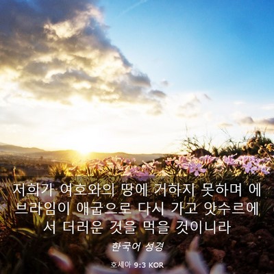 Picture 03 - 호세아 9:3 KOR - 저희가 여호와의 땅에 거하지 못하며 - Bible Verse Picture
