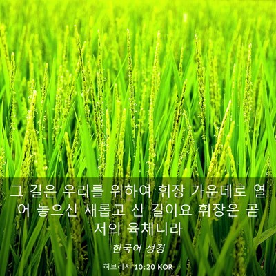 Picture 03 - 히브리서 10:20 KOR - 그 길은 우리를 위하여 휘장 - Bible Verse Picture