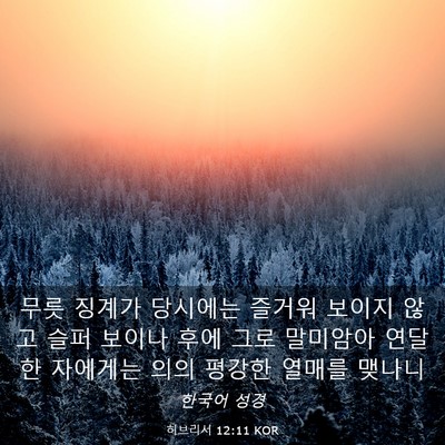 Picture 03 - 히브리서 12:11 KOR - 무릇 징계가 당시에는 즐거워 보이지 - Bible Verse Picture