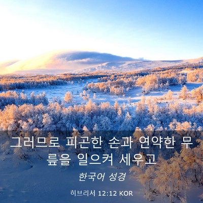 Picture 03 - 히브리서 12:12 KOR - 그러므로 피곤한 손과 연약한 무릎을 - Bible Verse Picture