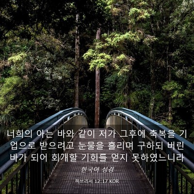 Picture 03 - 히브리서 12:17 KOR - 너희의 아는 바와 같이 저가 그후에 - Bible Verse Picture
