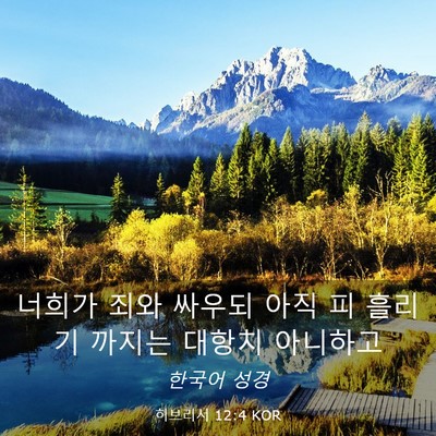 Picture 03 - 히브리서 12:4 KOR - 너희가 죄와 싸우되 아직 피 흘리기 - Bible Verse Picture