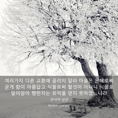 Picture 03 - 히브리서 13:9 KOR - 여러가지 다른 교훈에 끌리지 말라 - Bible Verse Picture