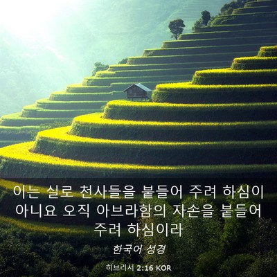 Picture 03 - 히브리서 2:16 KOR - 이는 실로 천사들을 붙들어 주려 - Bible Verse Picture