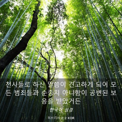 Picture 03 - 히브리서 2:2 KOR - 천사들로 하신 말씀이 견고하게 되어 - Bible Verse Picture