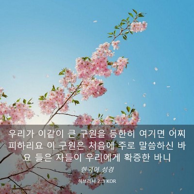 Picture 03 - 히브리서 2:3 KOR - 우리가 이같이 큰 구원을 등한히 - Bible Verse Picture