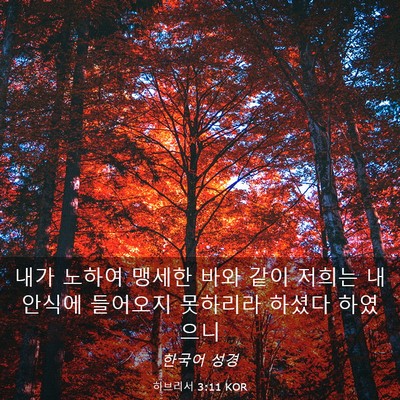 Picture 03 - 히브리서 3:11 KOR - 내가 노하여 맹세한 바와 같이 - Bible Verse Picture