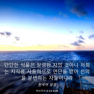 Picture 03 - 히브리서 5:14 KOR - 단단한 식물은 장성한 자의 것이니 - Bible Verse Picture