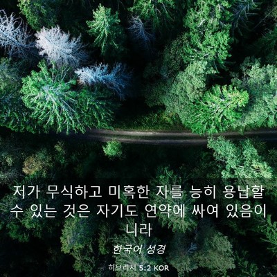 Picture 03 - 히브리서 5:2 KOR - 저가 무식하고 미혹한 자를 능히 - Bible Verse Picture