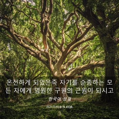 Picture 03 - 히브리서 5:9 KOR - 온전하게 되었은즉 자기를 순종하는 - Bible Verse Picture
