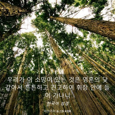 Picture 03 - 히브리서 6:19 KOR - 우리가 이 소망이 있는 것은 영혼의 - Bible Verse Picture
