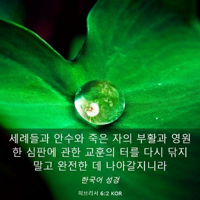 Picture 03 - 히브리서 6:2 KOR - 세례들과 안수와 죽은 자의 부활과 - Bible Verse Picture