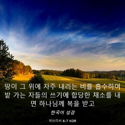 Picture 03 - 히브리서 6:7 KOR - 땅이 그 위에 자주 내리는 비를 - Bible Verse Picture