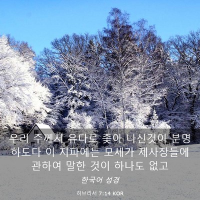 Picture 03 - 히브리서 7:14 KOR - 우리 주께서 유다로 좇아 나신것이 - Bible Verse Picture