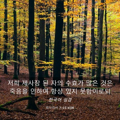 Picture 03 - 히브리서 7:23 KOR - 저희 제사장 된 자의 수효가 많은 - Bible Verse Picture