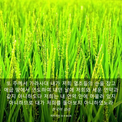 Picture 03 - 히브리서 8:9 KOR - 또 주께서 가라사대 내가 저희 - Bible Verse Picture