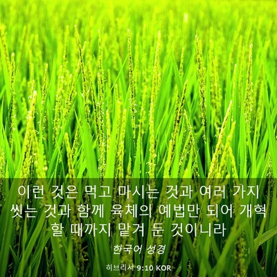 Picture 03 - 히브리서 9:10 KOR - 이런 것은 먹고 마시는 것과 여러 - Bible Verse Picture