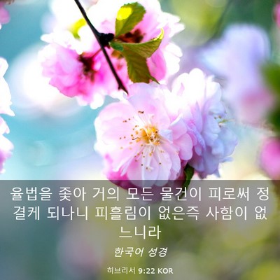 Picture 03 - 히브리서 9:22 KOR - 율법을 좇아 거의 모든 물건이 - Bible Verse Picture