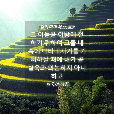Picture 04 - 갈라디아서 1:16 KOR - 그 아들을 이방에 전하기 위하여 - Bible Verse Picture