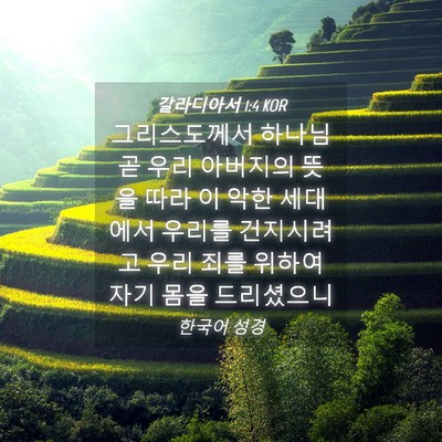 Picture 04 - 갈라디아서 1:4 KOR - 그리스도께서 하나님 곧 우리 - Bible Verse Picture