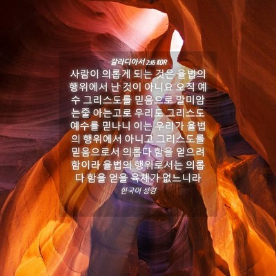 Picture 04 - 갈라디아서 2:16 KOR - 사람이 의롭게 되는 것은 율법의 - Bible Verse Picture