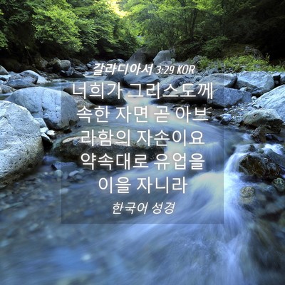 Picture 04 - 갈라디아서 3:29 KOR - 너희가 그리스도께 속한 자면 곧 - Bible Verse Picture