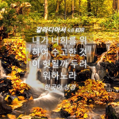 Picture 04 - 갈라디아서 4:11 KOR - 내가 너희를 위하여 수고한 것이 - Bible Verse Picture