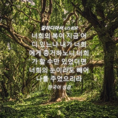 Picture 04 - 갈라디아서 4:15 KOR - 너희의 복이 지금 어디 있느냐 내가 - Bible Verse Picture