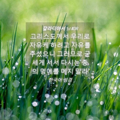 Picture 04 - 갈라디아서 5:1 KOR - 그리스도께서 우리로 자유케 하려고 - Bible Verse Picture