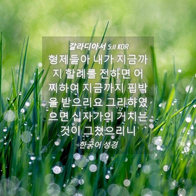 Picture 04 - 갈라디아서 5:11 KOR - 형제들아 내가 지금까지 할례를 - Bible Verse Picture