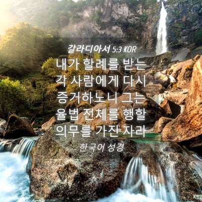 Picture 04 - 갈라디아서 5:3 KOR - 내가 할례를 받는 각 사람에게 다시 - Bible Verse Picture