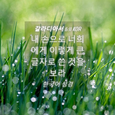 Picture 04 - 갈라디아서 6:11 KOR - 내 손으로 너희에게 이렇게 큰 - Bible Verse Picture